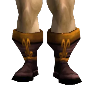 Embroidered Boots