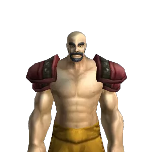 Classic Rare Leather Shoulder Armor Item Appearances - Classic World of ...
