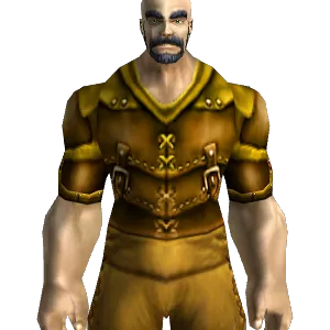 Toughened Leather Armor