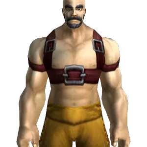 Battered Leather Harness