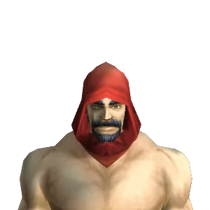 Hooded Cowl