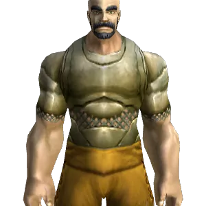Light Plate Chestpiece