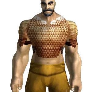 Overlinked Chain Armor