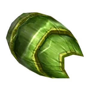 Worn Turtle Shell Shield
