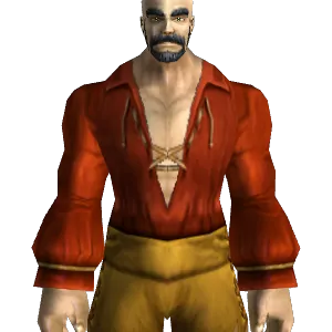 Red Swashbuckler's Shirt