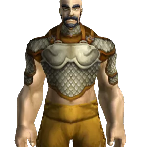 Mail Combat Armor