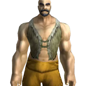 Ancestral Tunic