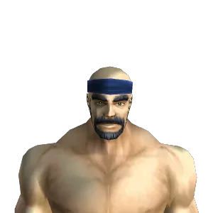 Silk Headband