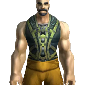 Earthpower Vest