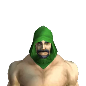Conjurer's Hood