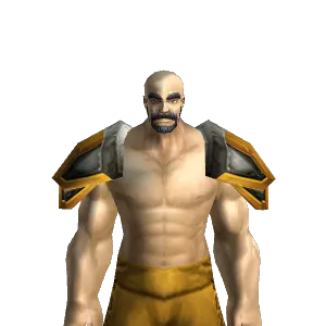 Lofty Shoulder Pads