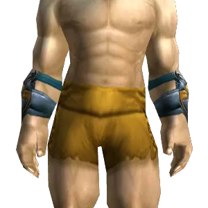 Lordly Armguards