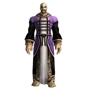 High Councillor's Robe