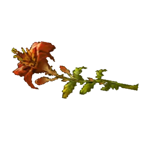 Darkmoon Flower