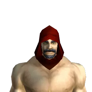 Felcloth Hood