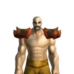 Geomancer's Spaulders