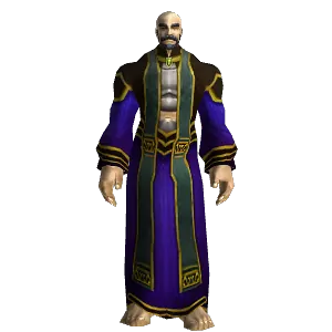Mage Dragon Robe