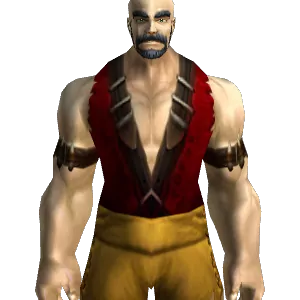 Imposing Vest
