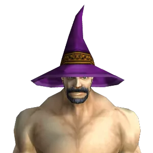 Regal Wizard Hat