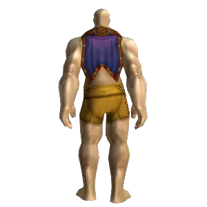 Inscribed Cloak