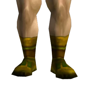 Fine Leather Boots
