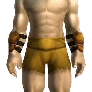 Adventurer's Bracers