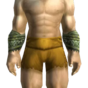 Green Whelp Bracers