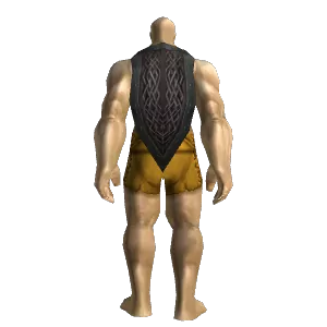 Barkeeper's Cloak