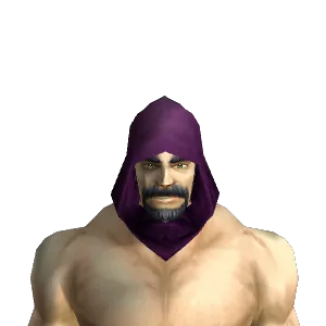 Twilight Cultist Cowl