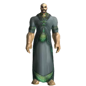 Duskwoven Robe