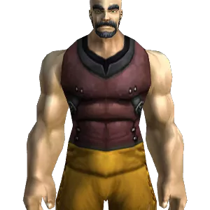 Smooth Leather Armor
