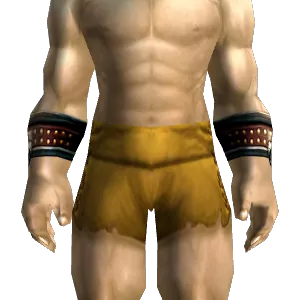 Tough Scorpid Bracers