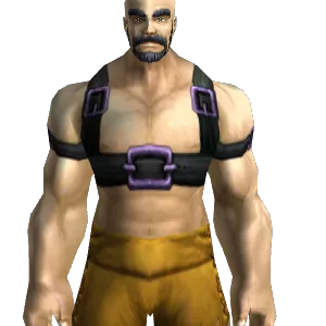 Buckled Harness