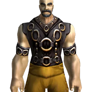 Wicked Leather Armor