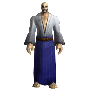 Journeyman's Robe