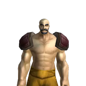 Hardened Leather Shoulderpads