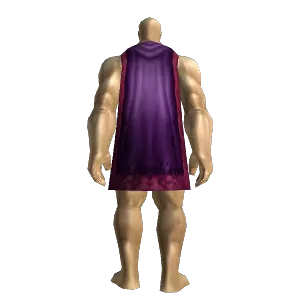 Elder's Cloak