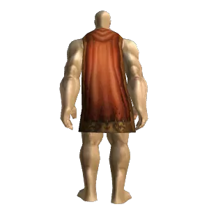 Resilient Poncho