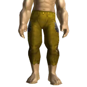 Patchwing Pants