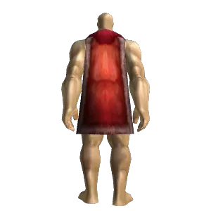 Battle Healer's Cloak