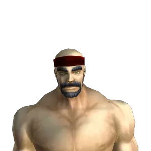 Adventurer's Bandana