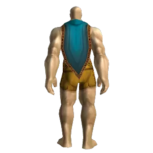 Reinforced Chain Cloak