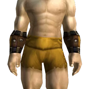 Guardian Leather Bracers
