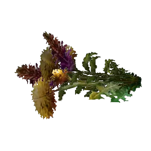 Lei of the Lifegiver
