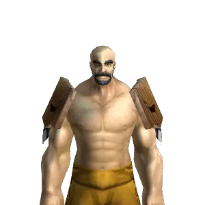 Highlander's Mail Pauldrons