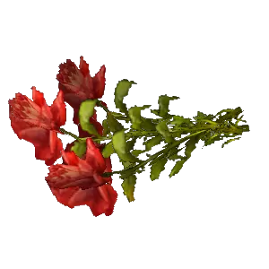 Bouquet of Red Roses