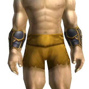 Bracers of Valor