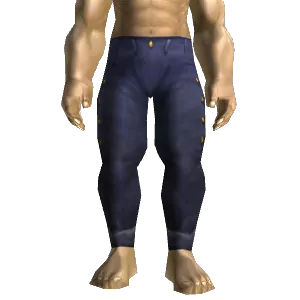 Apprentice's Pants