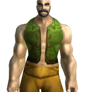 Green Woolen Vest