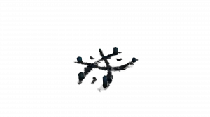 Marques rituelles malecardes élaborées
